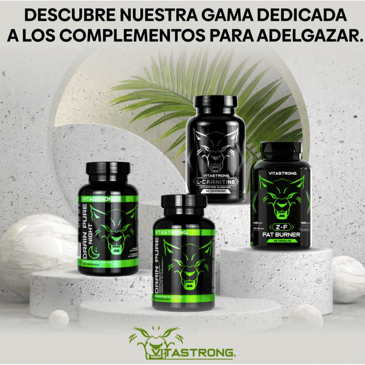 Fat Burner Z-F Vitastrong, Powerful Fat Burner for Men & Women, Thermogenic with Plant Extracts, Vitamins & Minerals, Rhodiola Rosea, Chromium Picolinate, Caffeine, Capsicum, Iodine, Pure Vitamin B3 Niacin