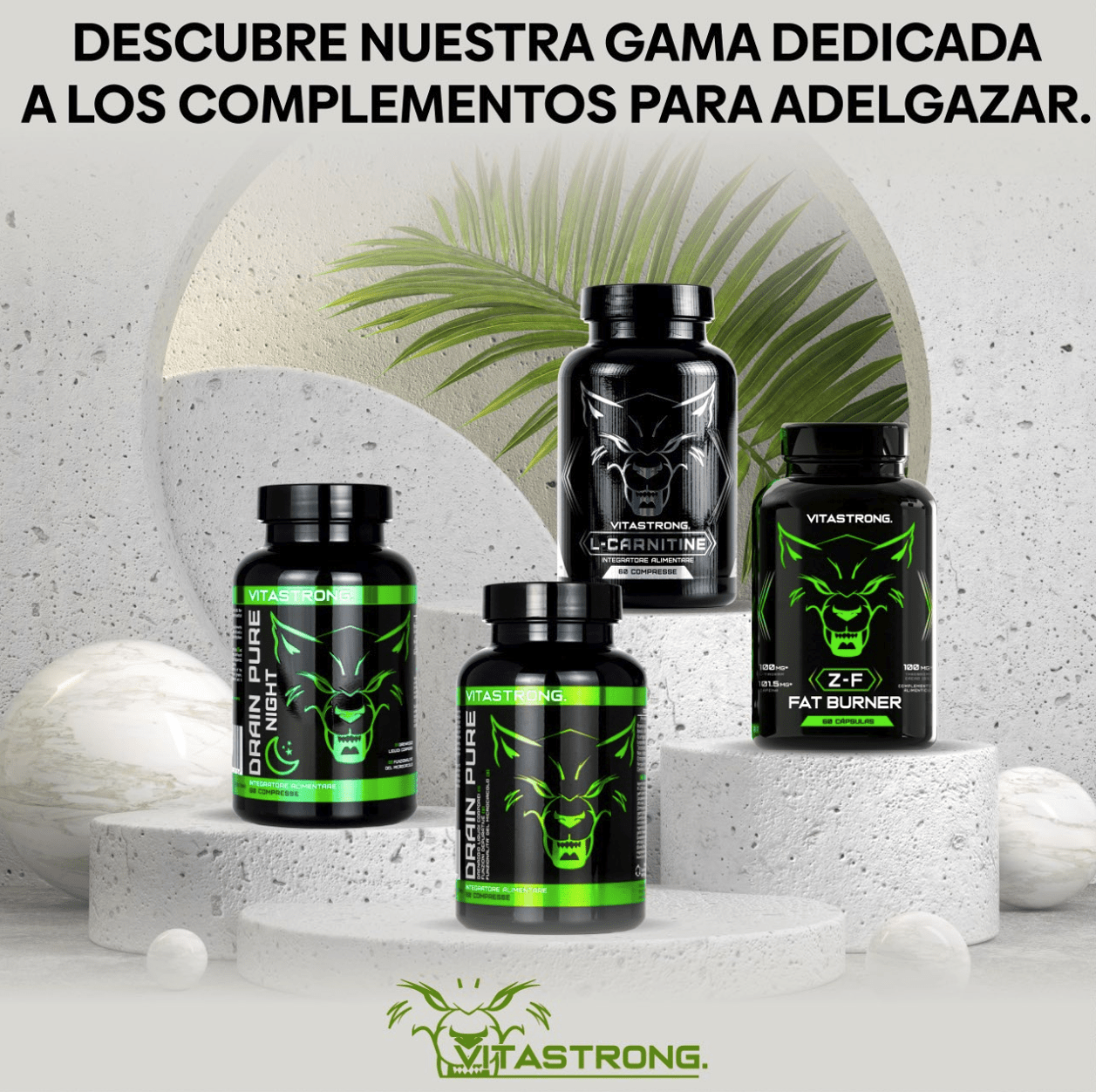 Fat Burner Z-F Vitastrong, Powerful Fat Burner for Men & Women, Thermogenic with Plant Extracts, Vitamins & Minerals, Rhodiola Rosea, Chromium Picolinate, Caffeine, Capsicum, Iodine, Pure Vitamin B3 Niacin