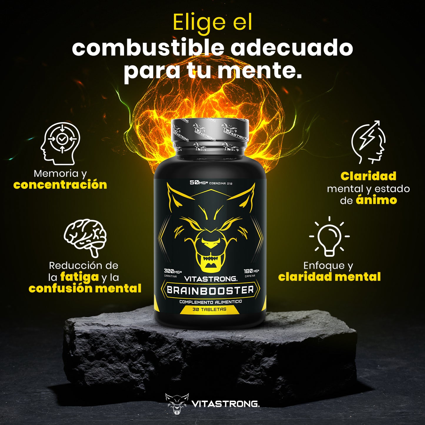 Nootropic Brainbooster with Pantothenic Acid for Mental Performance, Nootropics Memory And Concentration Vitamin B Complex, Folic Acid, Pure Biotin, L-Carnitine, Coenzyme Q10, Vitamin B12